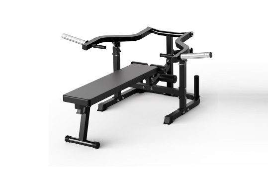 Chest Press